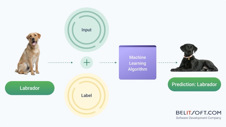 Diagram showing a typical supervised learning prediction workflow