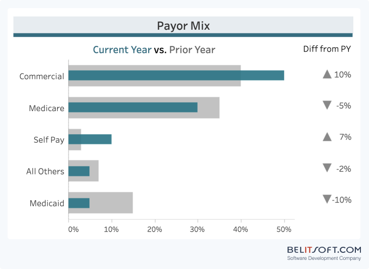 Diagram showing key elements of the Hospital CEO Dashboard