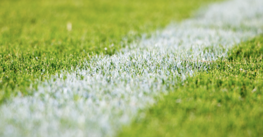 Custom C# Desktop Application Development for a Football Federation