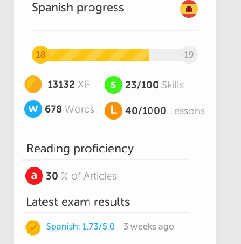 duolingo programming language progress tracking