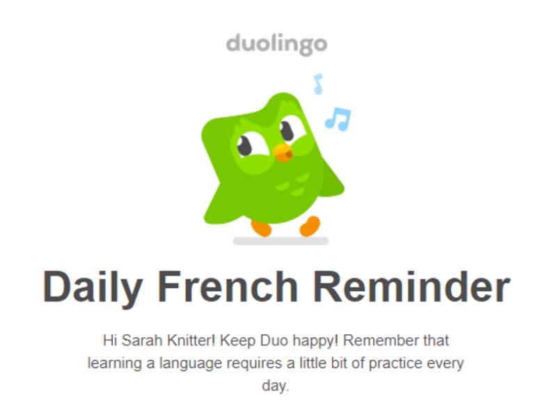 duolingo platform